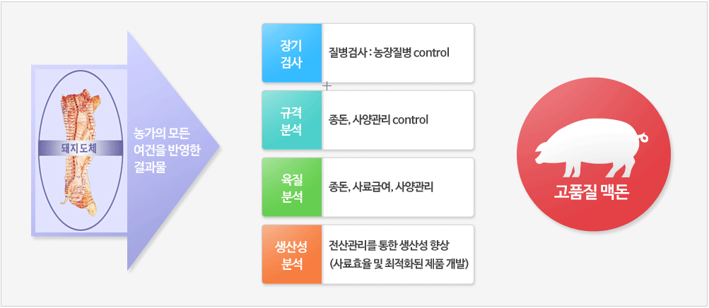 도축 가공과 품질관리 현황